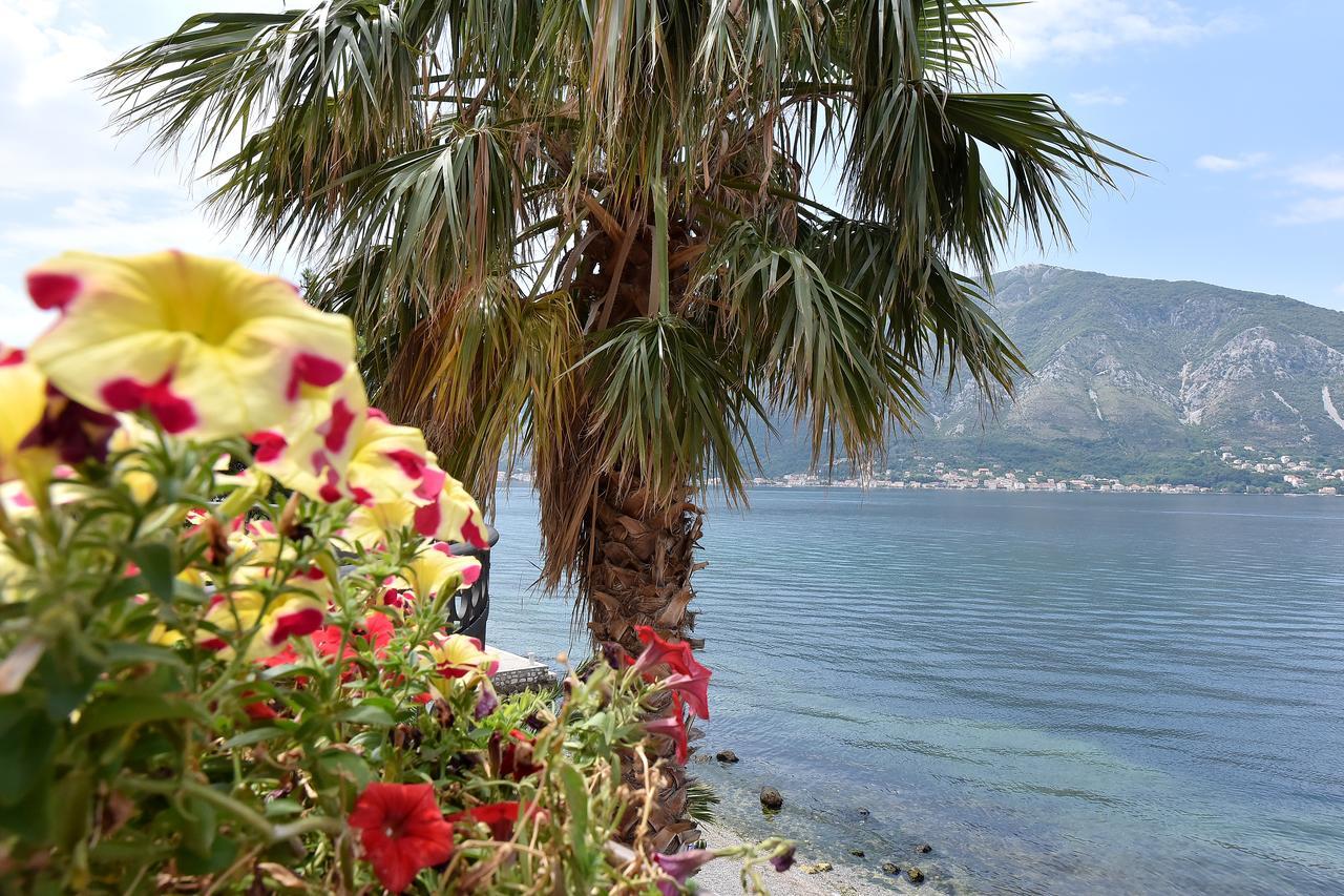 Maniva Penthouse By The Sea Apartment Kotor Exterior photo